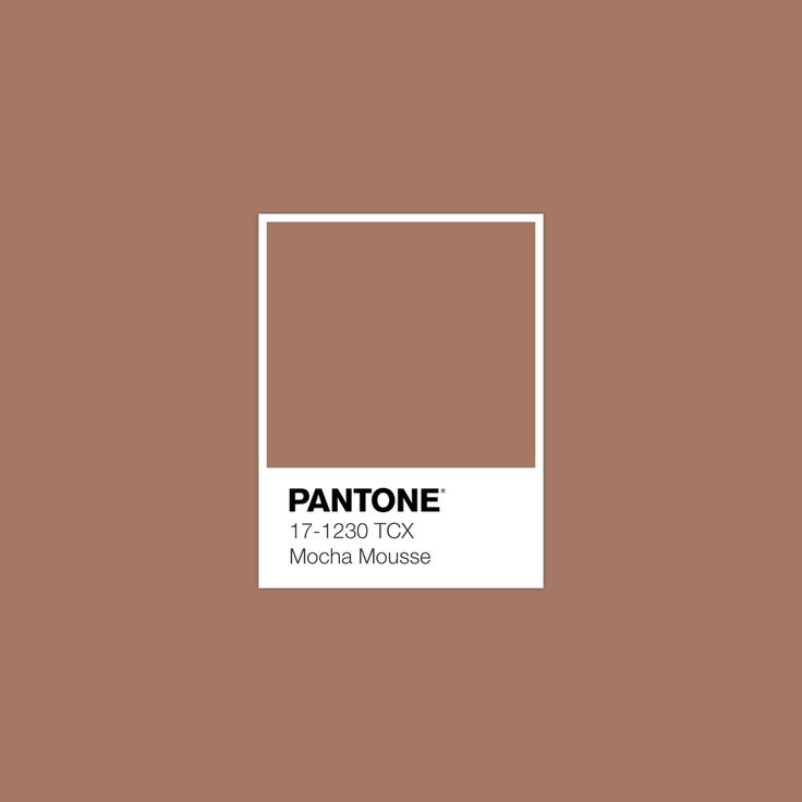 Pantone’s 2025 Color of the Year: 17-1230 Mocha Mousse and Its Impact on Cosmetic Packaging