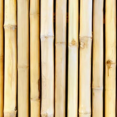 Embracing Nature’s Trends: The Rise of Bamboo in Beauty Packaging