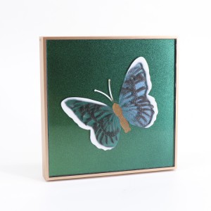 گىرىم بۇيۇملىرى شەخسىي بەلگىسى قۇرۇق كۆزئەينەك پالتىسى